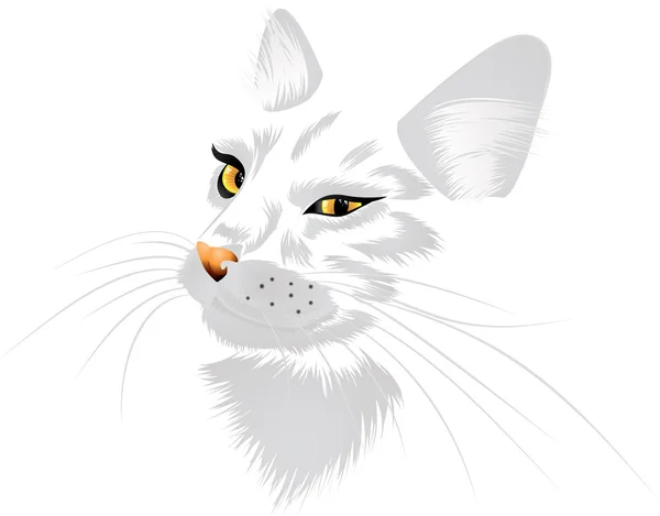 Vit katt med gula ögon — Stock vektor