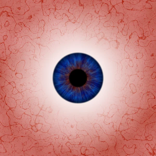 Eyeball — Stock Photo, Image