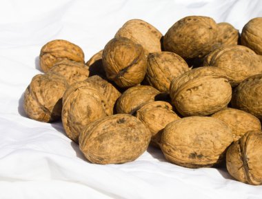 Beyaz kumaş üzerine ceviz