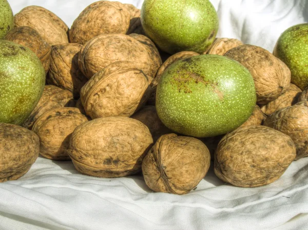 Green and mature walnuts on fabric — Stock Photo, Image