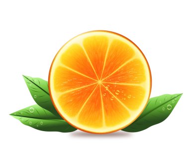 Portakallı yarısı yaprakları