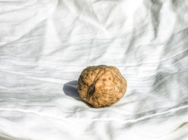 Walnut on white fabric — Stock Photo, Image