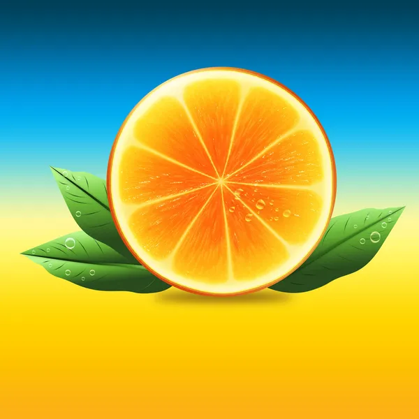 Orangenhälfte mit Blättern — Stockfoto