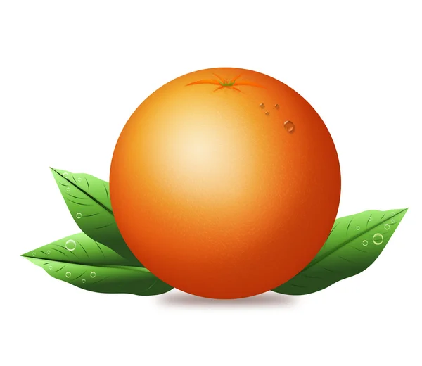 Orange med blad — Stockfoto