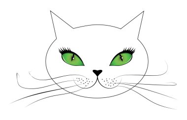 Yeşil gözlü beyaz kedi surat