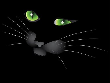 Kara kedi surat