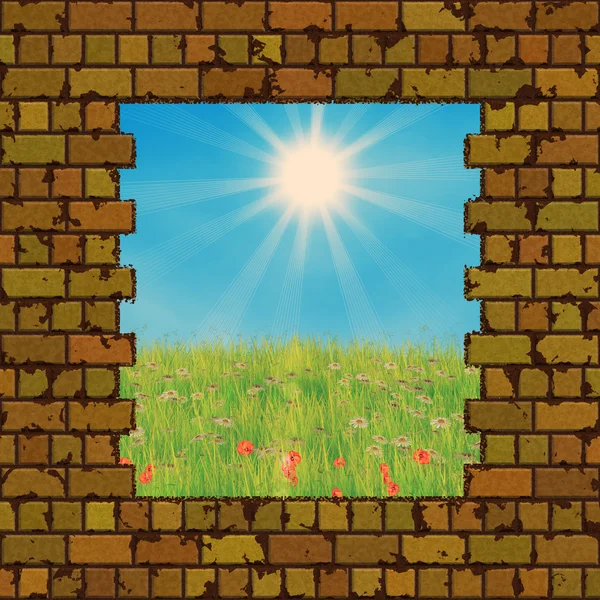 Broken brick wall and grass field — Stock Photo, Image