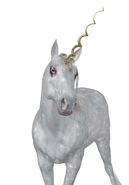 Magical Unicorn — Stock Photo, Image