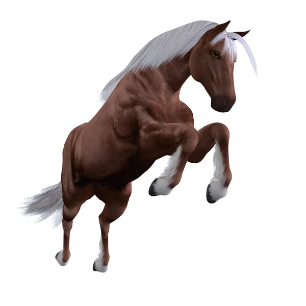 Rotes Pferd mit weißer Mähne — Stockfoto