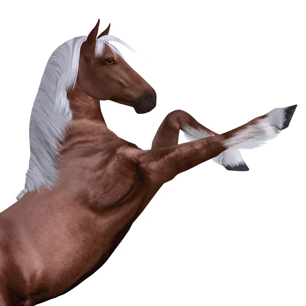 白いたてがみを持つ赤い馬 — ストック写真