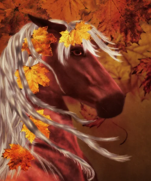 Autumn horse — Stock Photo, Image