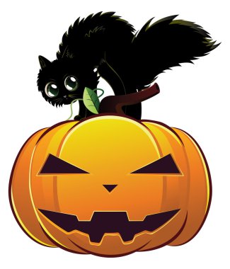 kabak üzerine siyah kedi