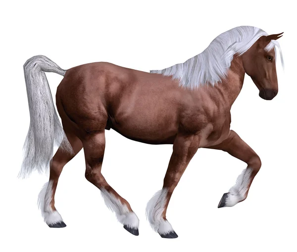 Red horse with white mane — Stock Photo, Image