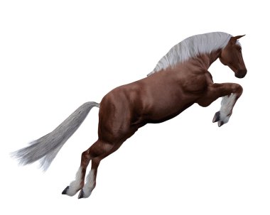 Beyaz yele ile kırmızı at