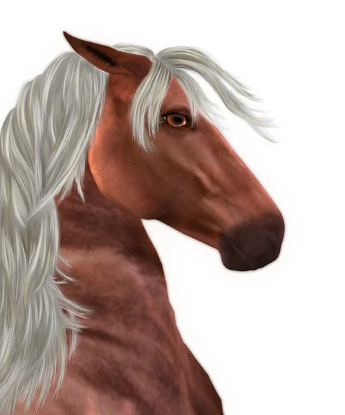 Pferd mit weißer Mähne — Stockfoto