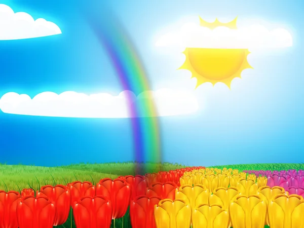 Tulipán pole pod sluncem — Stock fotografie