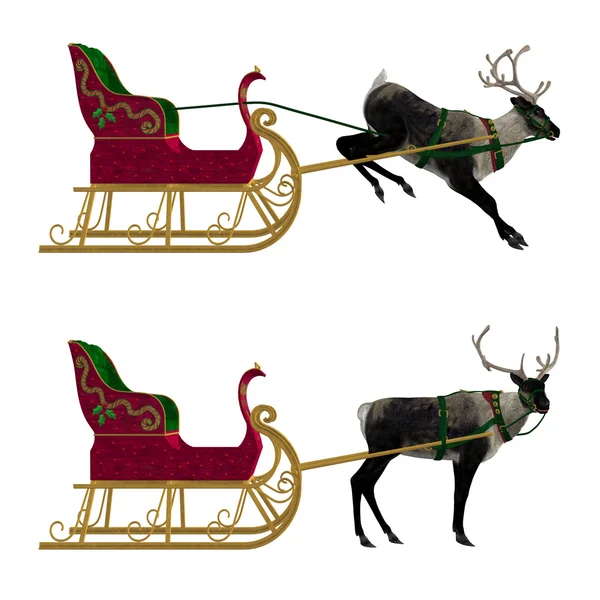 Reindeer with sleigh — Stock Photo, Image