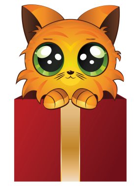 bir kutu içinde kırmızı kedi yavrusu
