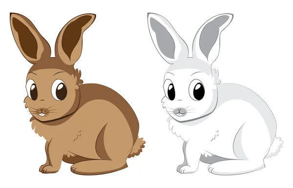 白と茶色のウサギ — ストックベクタ