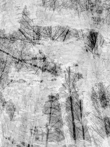 Çıplak ağaçların dalları