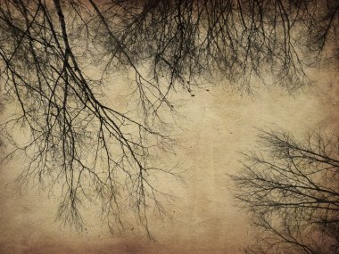 Grunge bare trees clipart