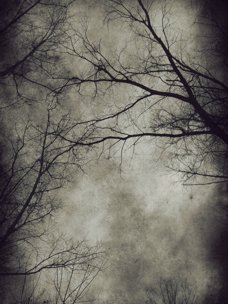 Dark grunge paper background with bare trees.