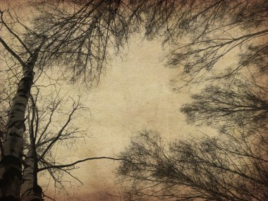 Grunge bare trees clipart