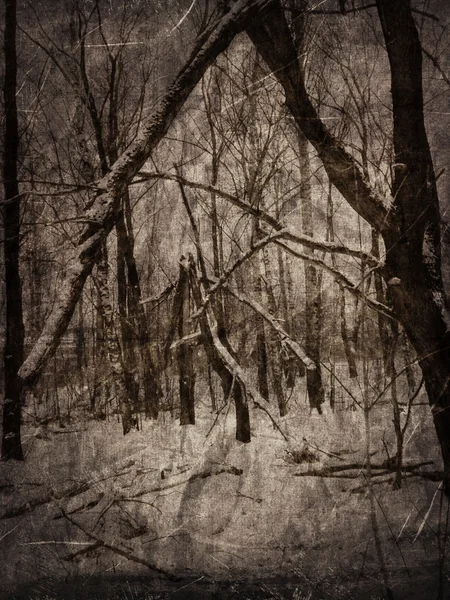 ビンテージ冬の風景 — ストック写真