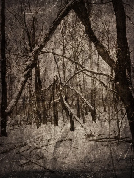 Paysage hivernal vintage — Photo