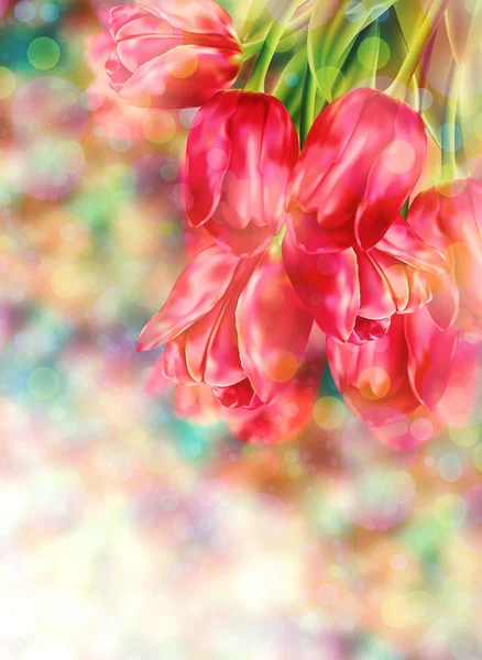 Bokeh fundo com tulipas — Fotografia de Stock