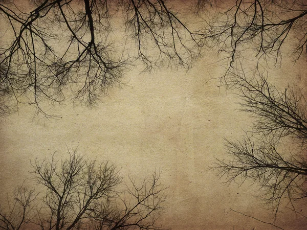 Grunge kale bomen — Stockfoto