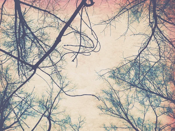 Retro kağıt ağaç dalları ile — Stok fotoğraf