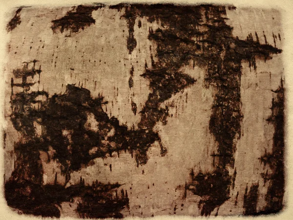 Grunge 白桦树皮 — 图库照片