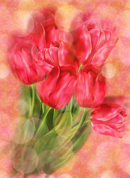 Tulpen op bokeh achtergrond — Stockfoto