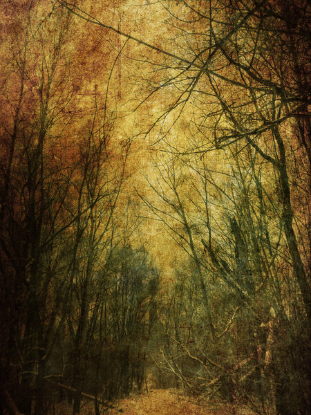 Vintage grunge yellow paper texture with winter bare trees landscape.