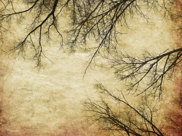 Grunge bare trees silhouettes — Stock Photo, Image