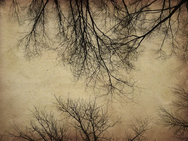 Grunge árvores nuas — Fotografia de Stock