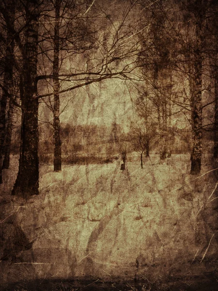 Paysage hivernal vintage — Photo