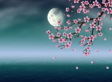 Sakura ayın altında