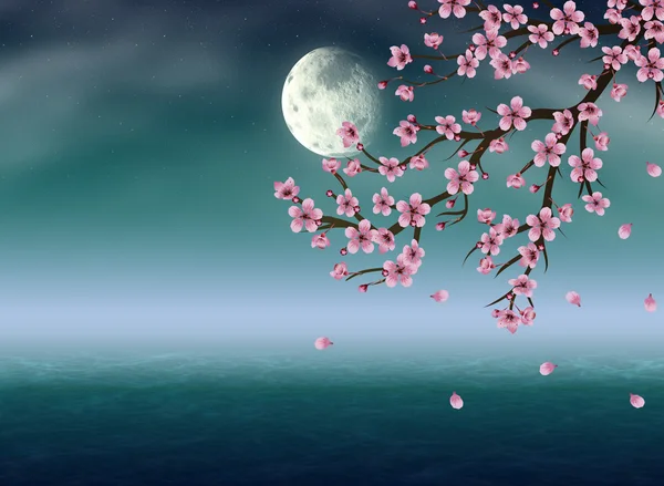 Sakura pod księżycem — Zdjęcie stockowe