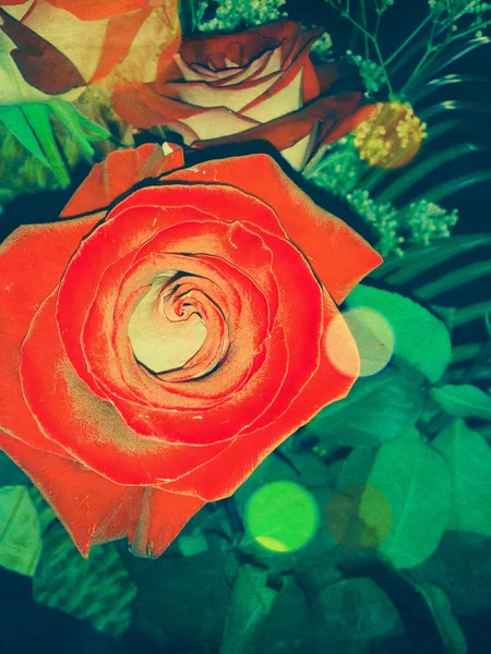 Vintage Rose — Stock Photo, Image