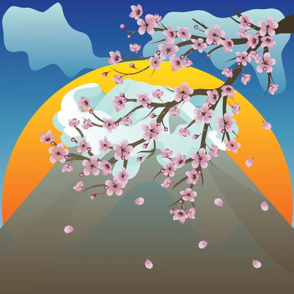 Zweig von Sakura und Vulkan — Stockvektor