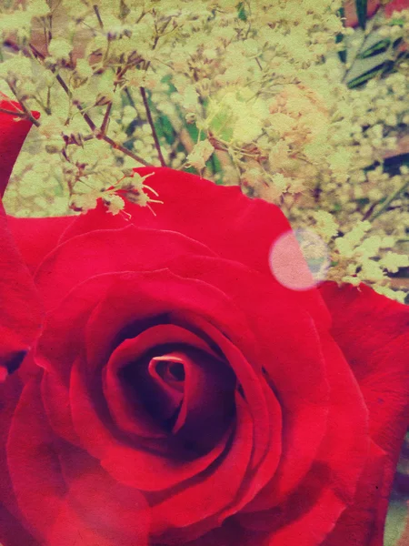 Vintage Rose — Stock Photo, Image