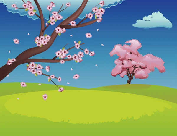 Sakura op grasveld — Stockvector