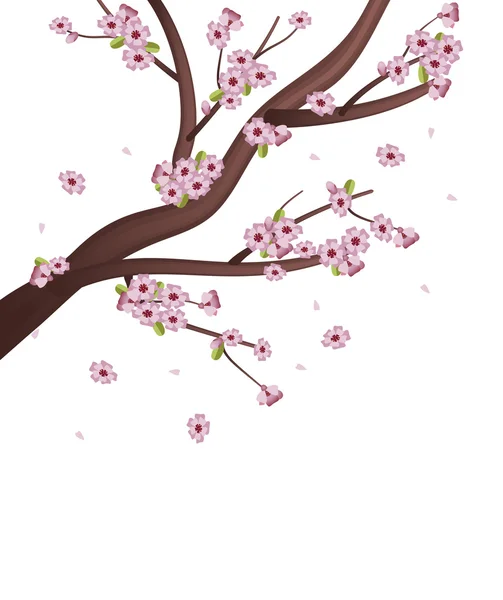 Sakura Tree — Stock Vector