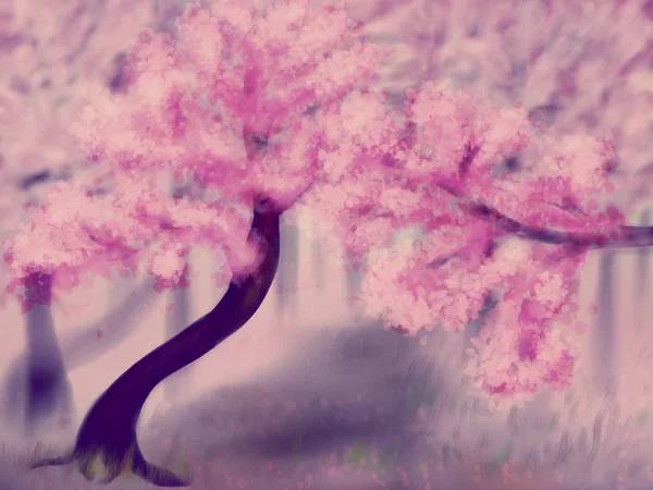 Alberi Sakura in fiore — Foto Stock