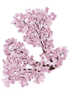 Çiçekli Sakura Şubesi