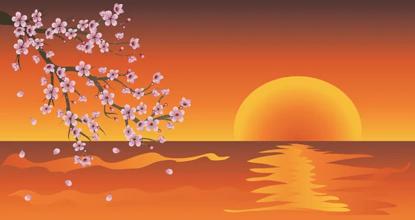 Sakura-Zweig bei Sonnenuntergang — Stockvektor