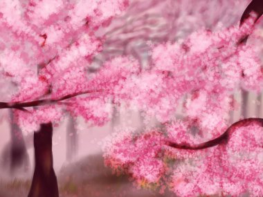 çiçek açan sakura ağaçlar