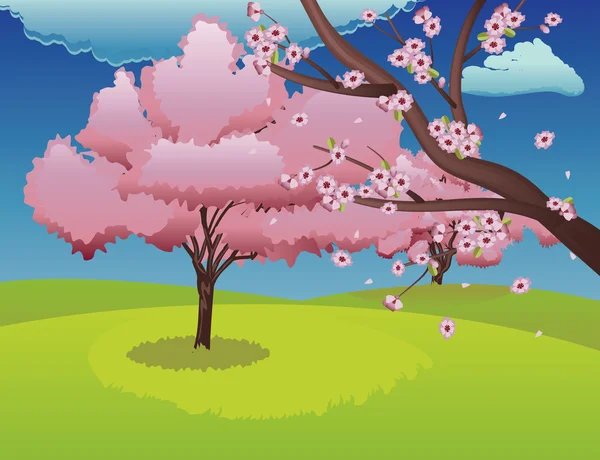 Bloeiende Sakura tak — Stockvector